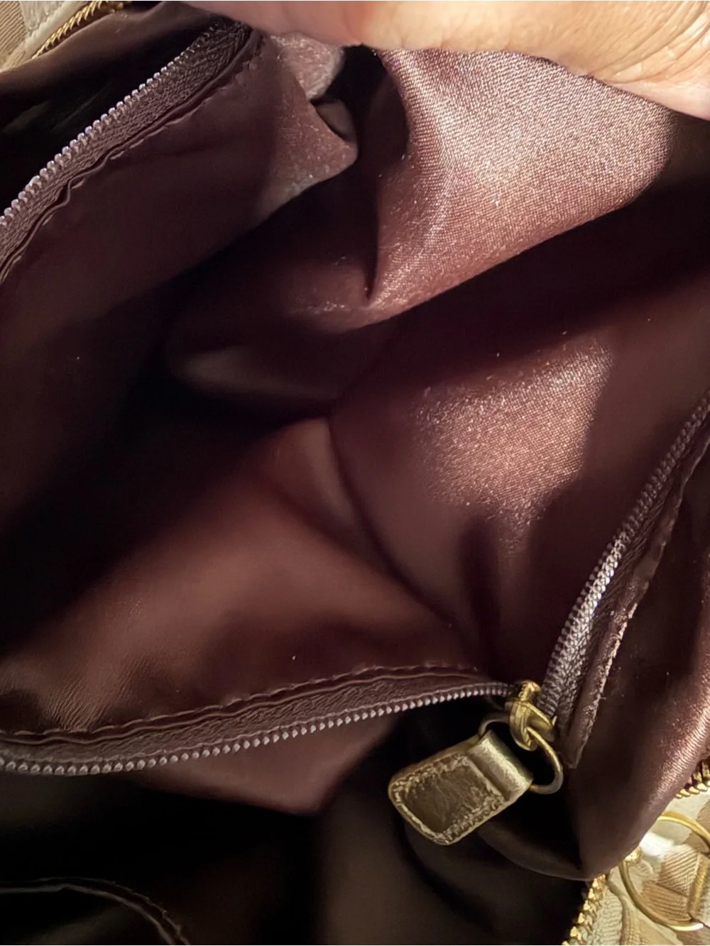 Coach Brooke Hobo F16619 Purse Rare READ